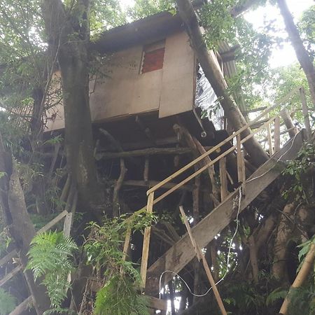 Castle Tree House And Bungalow White Sands ห้อง รูปภาพ
