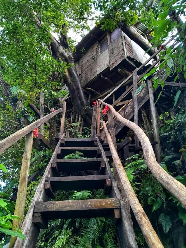Castle Tree House And Bungalow White Sands ภายนอก รูปภาพ