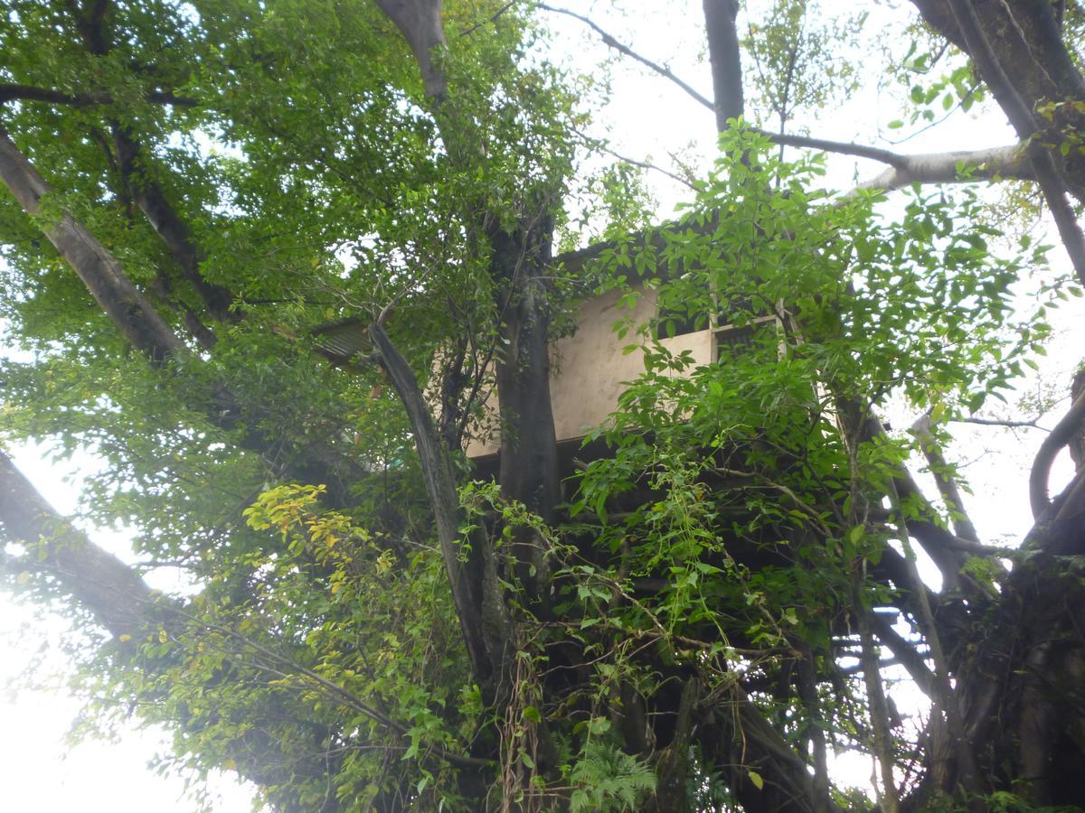 Castle Tree House And Bungalow White Sands ภายนอก รูปภาพ