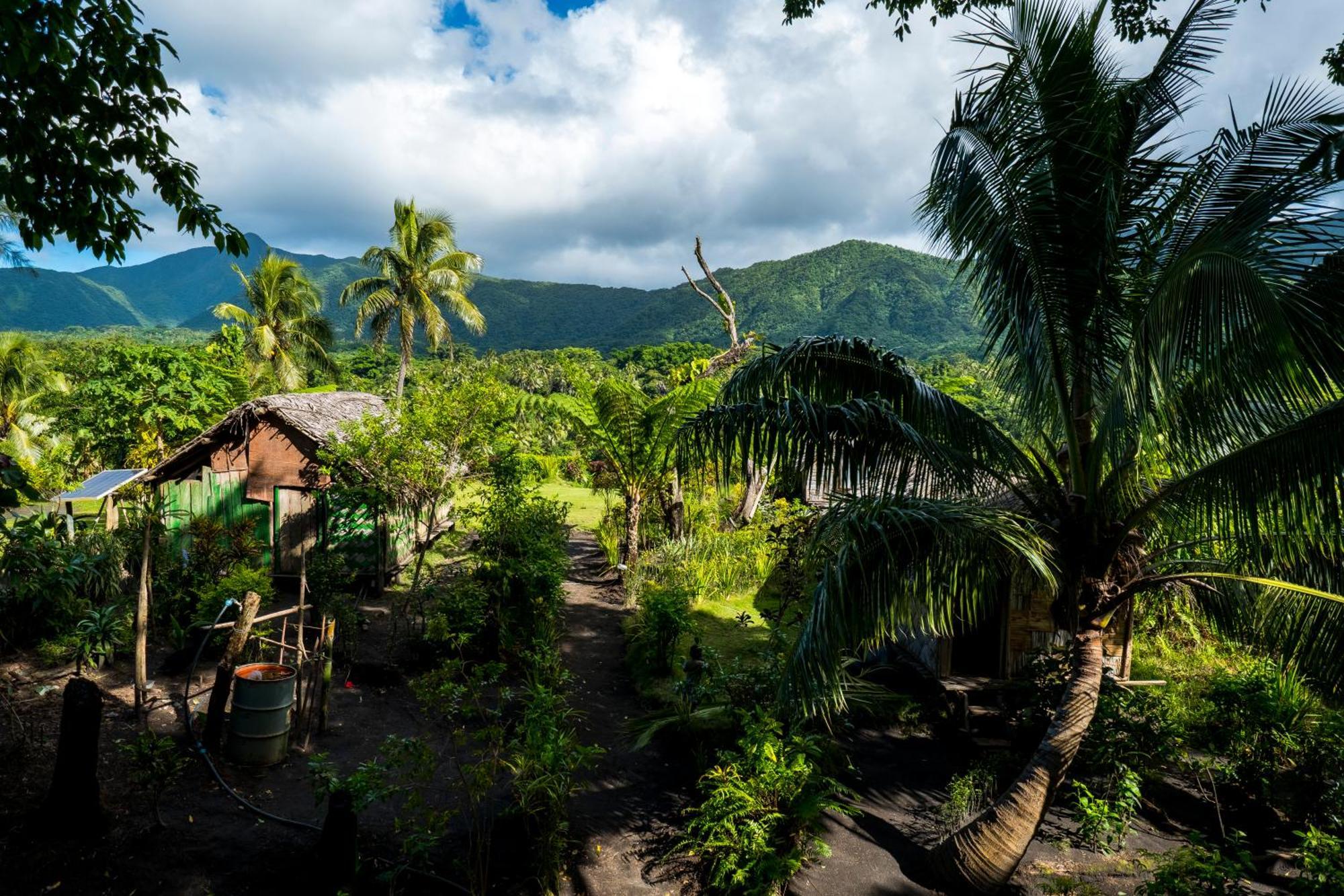 Castle Tree House And Bungalow White Sands ภายนอก รูปภาพ