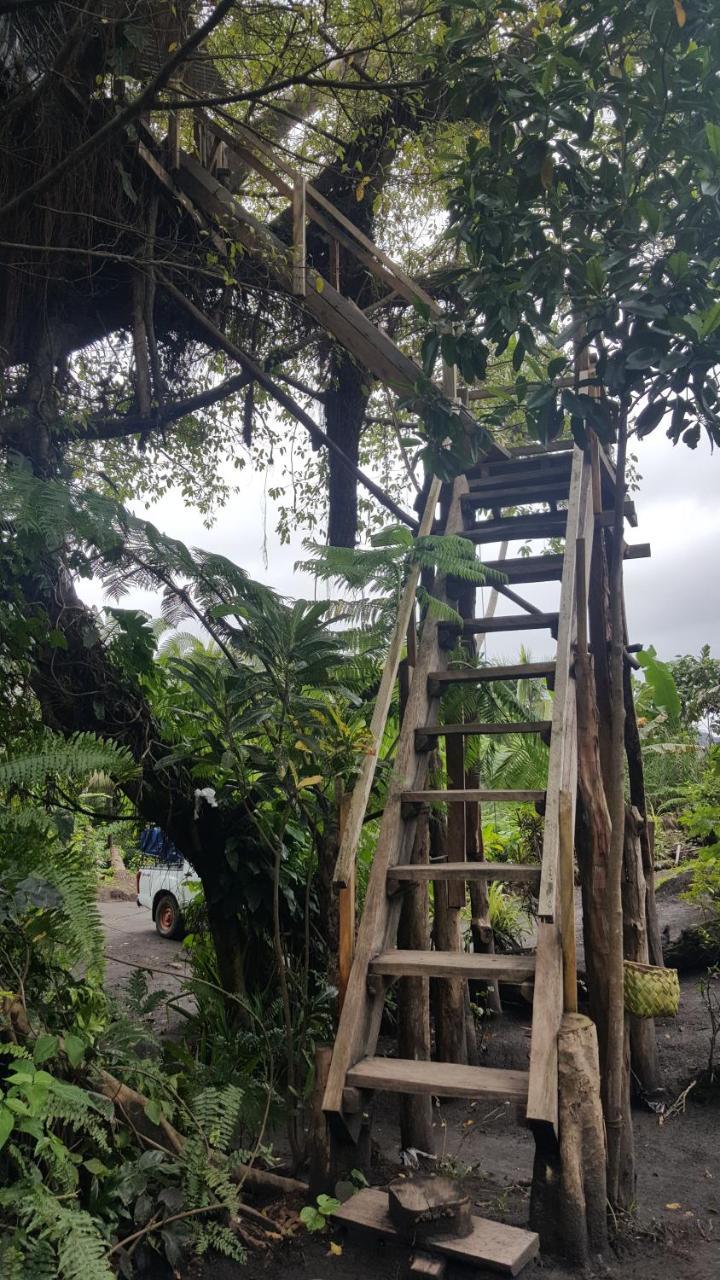 Castle Tree House And Bungalow White Sands ภายนอก รูปภาพ