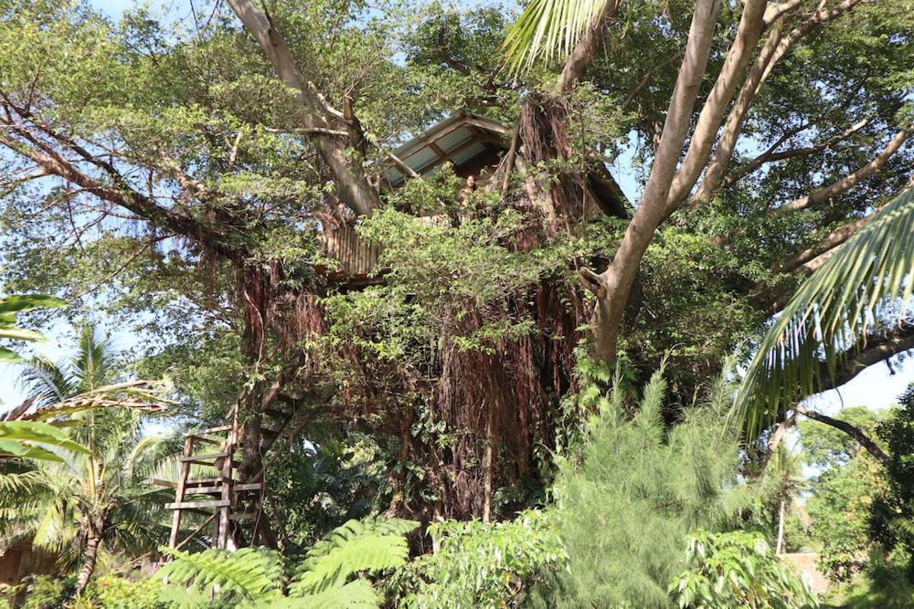 Castle Tree House And Bungalow White Sands ภายนอก รูปภาพ