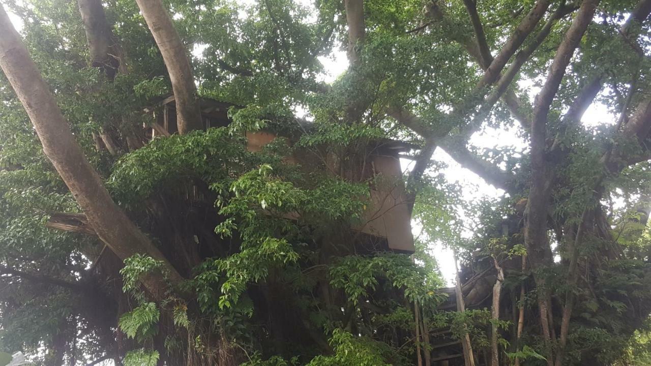 Castle Tree House And Bungalow White Sands ภายนอก รูปภาพ
