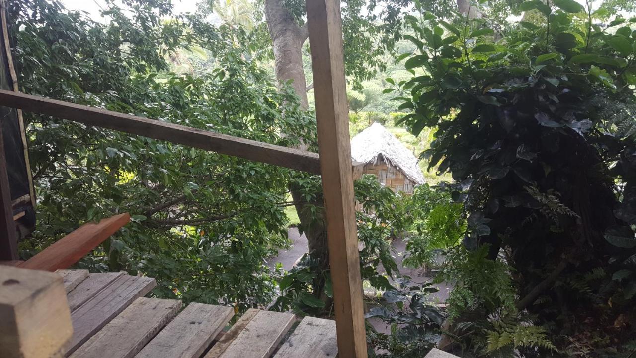 Castle Tree House And Bungalow White Sands ภายนอก รูปภาพ