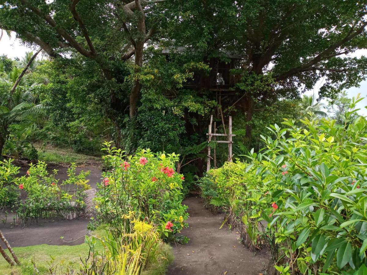 Castle Tree House And Bungalow White Sands ภายนอก รูปภาพ